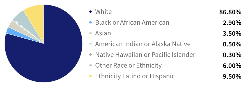 The lack of diversity in dental hygienists in the US is shown in the chart above.