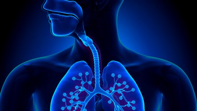 breathing and respiratory science in dentistry