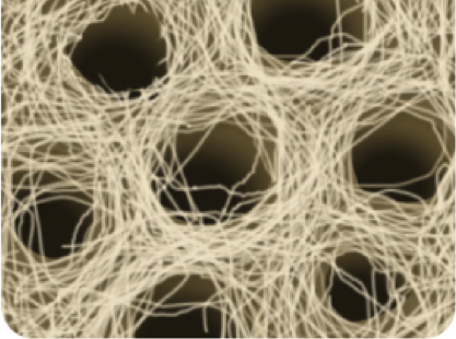 Collagen