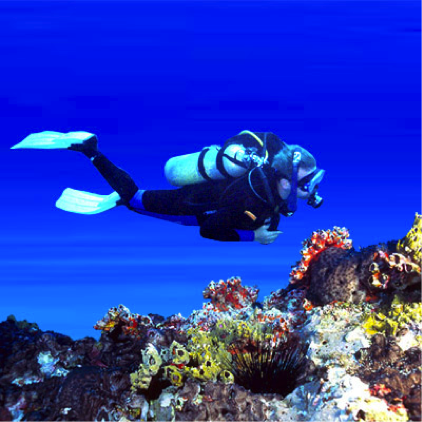 Diving